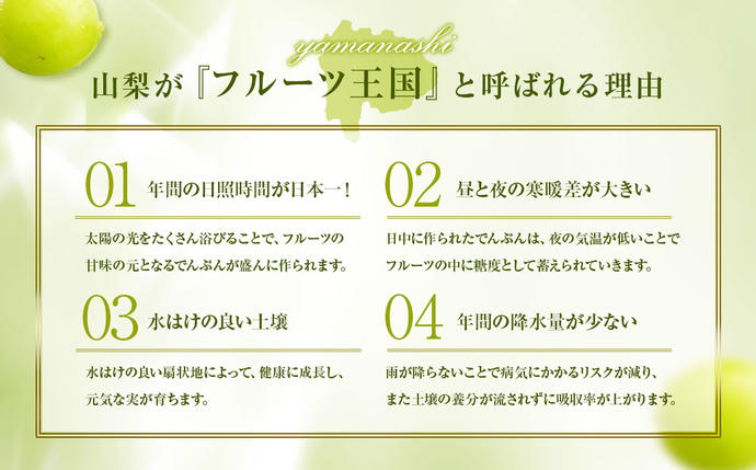 山梨県中央市のふるさと納税 【2025年発送】 ぶどう 山梨県産 シャインマスカット 約1.8kg [株式会社えべし 山梨県 中央市 21471021] フルーツ 果物 くだもの ブドウ シャイン マスカット 葡萄 期間限定 季節限定