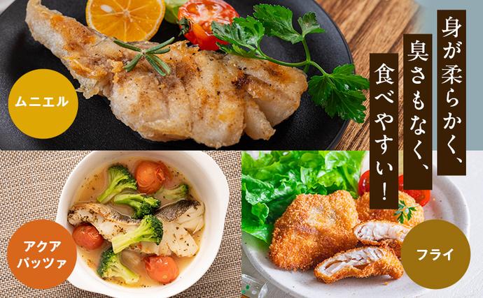 北海道厚岸町のふるさと納税 訳あり 真だら 切身 300ｇ×2パック (合計600g) 魚貝類 海の幸 海鮮 夕飯 晩御飯 食材 食べ物 料理 調理 フライ ムニエル 鍋の具材