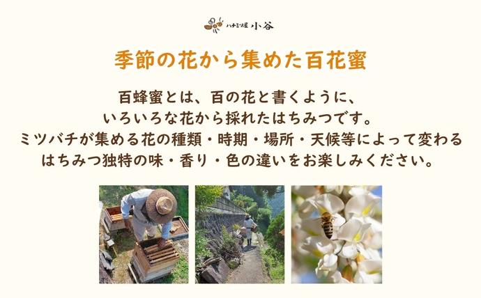 奈良県宇陀市のふるさと納税 ハチミツ屋小谷 はちみつ 春セット／ 百花蜜 国産 純粋 蜂蜜 ハチミツ ハニー 非加熱 無精製 贈答用 贈り物 奈良県 宇陀市 ふるさと納税