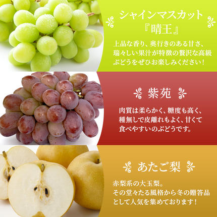 岡山県玉野市のふるさと納税 桃 ぶどう 梨 定期便 2026年 先行予約 晴れの国 岡山 の フルーツ 定期便 6回コース もも 葡萄 なし 岡山県産 国産 セット ギフト アレキサンドリ ニューピオーネ シャインマスカット 晴王 紫苑