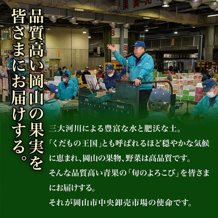 岡山県玉野市のふるさと納税 桃 ぶどう 梨 定期便 2026年 先行予約 晴れの国 岡山 の フルーツ 定期便 6回コース もも 葡萄 なし 岡山県産 国産 セット ギフト アレキサンドリ ニューピオーネ シャインマスカット 晴王 紫苑