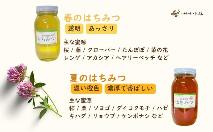 奈良県宇陀市のふるさと納税 ハチミツ屋小谷 はちみつ 夏セット／ 百花蜜 国産 純粋 蜂蜜 ハチミツ ハニー 非加熱 無精製 贈答用 贈り物 奈良県 宇陀市 ふるさと納税