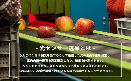 長野県飯綱町のふるさと納税 【 感謝りんご / 光センサー選別品 】 りんご サンふじ 訳あり 2kg （ 5玉 〜 12玉 ） 交換保証 ながの農業協同組合 沖縄県への配送不可 2026年12月上旬頃から2027年1月下旬頃まで順次発送予定 令和8年度収穫分 傷 不揃い リンゴ 林檎 果物 フルーツ 信州 長野 8000円 予約 長野県 飯綱町 [1869]