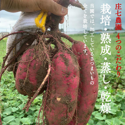 2026年1月から発送開始】「庄七農園」自慢の 【 特選 】丸干し 1kg 紅