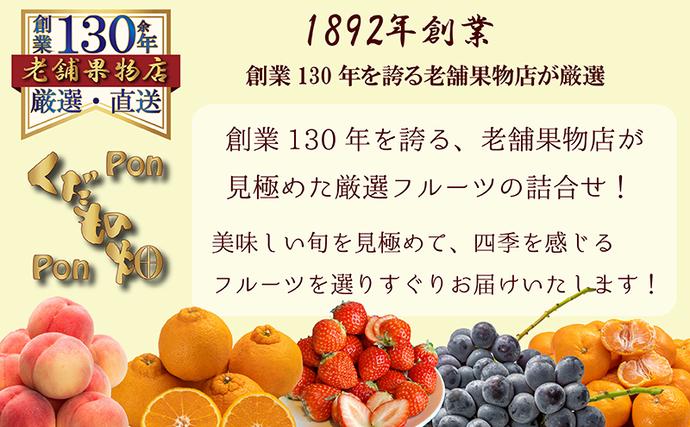 香川県綾川町のふるさと納税 【4ヶ月連続定期便】旬を見極めた、厳選フルーツ詰合せ-よくばりセット- フルーツ 果物 定期便 頒布会 詰合せ 旬 厳選