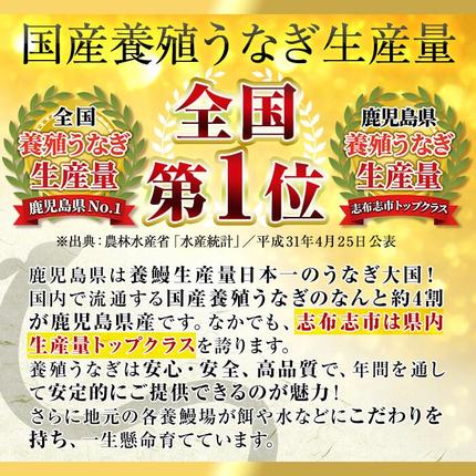 鹿児島県志布志市のふるさと納税 【志布志市制20周年記念】＜期間限定規格＞日ノ本一の鰻の蒲焼き＜大＞1尾(約190g以上) a2-116-sbs
