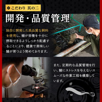 鹿児島県志布志市のふるさと納税 【志布志市制20周年記念】＜期間限定規格＞日ノ本一の鰻の蒲焼き＜大＞1尾(約190g以上) a2-116-sbs