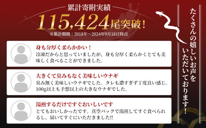 静岡県浜松市のふるさと納税 うなぎ 蒲焼き 2尾 (100g以上×2本)セット 国産 うなぎセット 国産うなぎ 浜名湖うなぎ