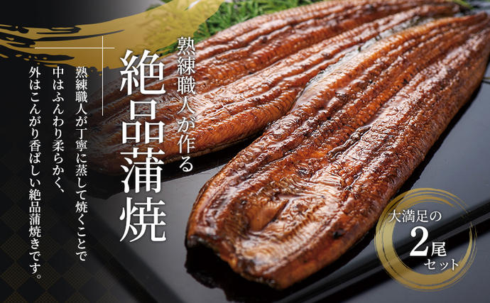 静岡県浜松市のふるさと納税 うなぎ 蒲焼き 2尾 (100g以上×2本)セット 国産 うなぎセット 国産うなぎ 浜名湖うなぎ