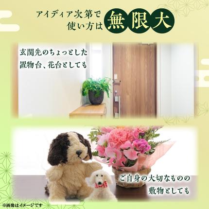 ミニたたみ（正角大） 畳 小型 花台 展示用畳 正方形 おしゃれ 正角 大