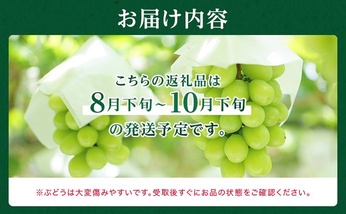 岡山県里庄町のふるさと納税 ぶどう 2026年 先行予約 シャイン マスカット 晴王 5房～10房 約5kg 8月下旬～11月下旬発送 ブドウ 葡萄 岡山県産 国産 フルーツ 果物 ギフト