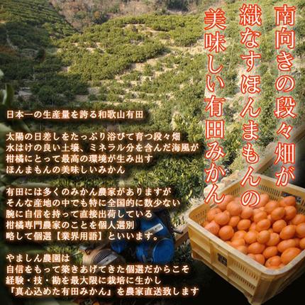 光センサー選別／極 有田みかんプレミアム 約2kg【光センサー 高糖度