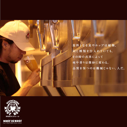 茨城県桜川市のふるさと納税 常陸野ネストビール 6種12本 飲み比べ セット  2025年11月中旬発送開始 ビール クラフトビール 地ビール ネストビール 酒 お酒 アルコール 瓶 木内酒造 詰め合わせ IPA ペールエール ヴァイツェン 限定 [CJ010sa]