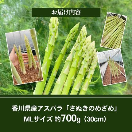 香川県東かがわ市のふるさと納税 16farmのアスパラ「さぬきのめざめ30cmロング」MLサイズ700g アスパラガス さぬきのめざめ ロングアスパラ 野菜 やさい 新鮮 東かがわ