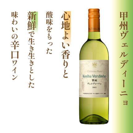 山梨県富士河口湖町のふるさと納税 「甲州オランジュ・グリ」「甲州ヴェルディ—ニョ」白ワイン2本セット FDK001