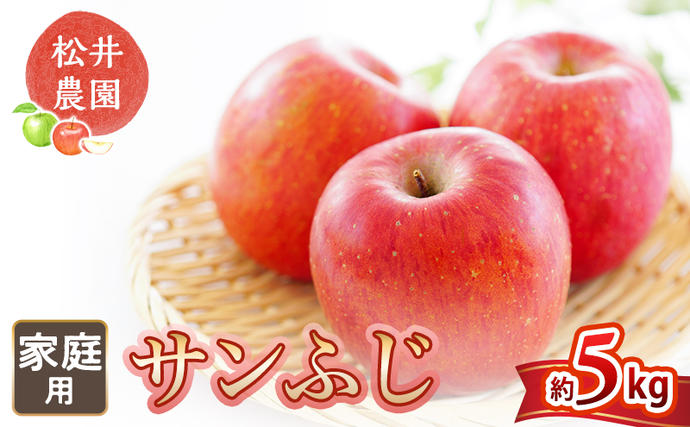 りんご 自家用りんご サンふじ 約5kg 