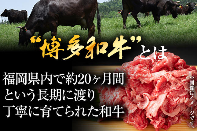 福岡県大木町のふるさと納税 訳あり 博多和牛切り落とし 1kg 黒毛和牛 お取り寄せグルメ お取り寄せ 福岡 お土産 九州 福岡土産 取り寄せ グルメ MEAT PLUS CP016