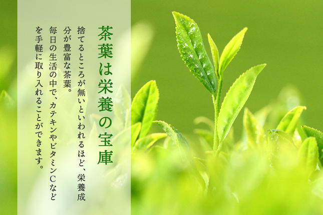 京都府宇治田原町のふるさと納税 SOU・SOU菊づくし茶器セット〈お茶 茶 煎茶 緑茶 茶葉 宇治抹茶 深蒸し茶 こいまろ茶 コラボ 急須 耐熱ガラス 飲料 加工食品 工芸品 日用品〉 食器