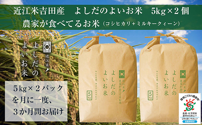 滋賀県豊郷町のふるさと納税 【定期便】令和6年産　よしだのよいお米 近江米農家が食べてるお米　10kg×3回