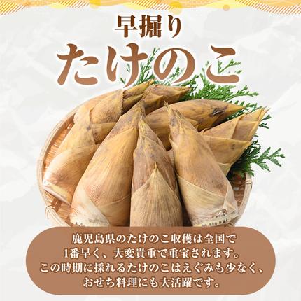 鹿児島県阿久根市のふるさと納税 訳あり！鹿児島県産 早掘りたけのこ(約2kg) 国産 野菜 たけのこ タケノコ 筍 旬 煮物 水煮 天ぷら つくだ煮【松永青果】akn053-29