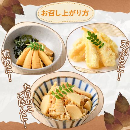 鹿児島県阿久根市のふるさと納税 訳あり！鹿児島県産 早掘りたけのこ(約2kg) 国産 野菜 たけのこ タケノコ 筍 旬 煮物 水煮 天ぷら つくだ煮【松永青果】akn053-29