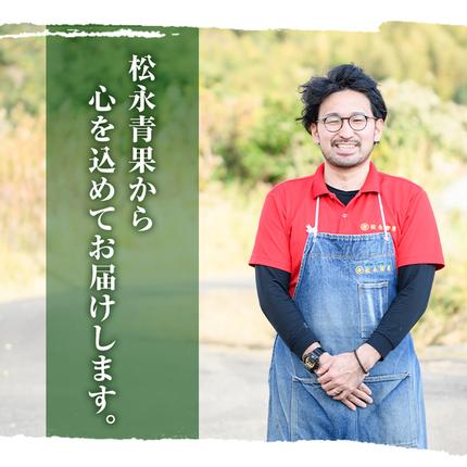 鹿児島県阿久根市のふるさと納税 訳あり！鹿児島県産 早掘りたけのこ(約2kg) 国産 野菜 たけのこ タケノコ 筍 旬 煮物 水煮 天ぷら つくだ煮【松永青果】akn053-29