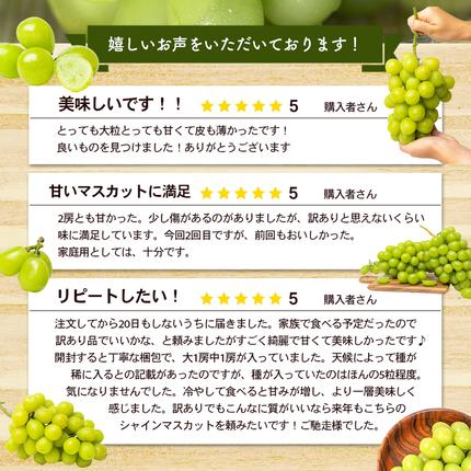 香川県東かがわ市のふるさと納税 訳あり シャインマスカット 1.1kg 2房 家庭用 香川県産 ぶどう ブドウ 葡萄 マスカット フルーツ 果物 くだもの 旬のフルーツ 旬の果物 不揃い 訳アリ 香川 香川県 東かがわ市