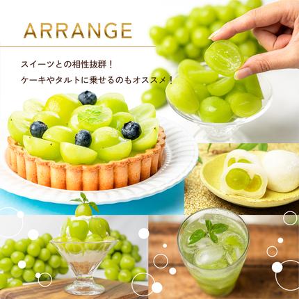 香川県東かがわ市のふるさと納税 訳あり シャインマスカット 1.1kg 2房 家庭用 香川県産 ぶどう ブドウ 葡萄 マスカット フルーツ 果物 くだもの 旬のフルーツ 旬の果物 不揃い 訳アリ 香川 香川県 東かがわ市