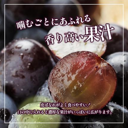 香川県東かがわ市のふるさと納税 ハウスピオーネ 大房 3～6房 2kg 化粧箱 黒い真珠 ピオーネ 葡萄 ぶどう ブドウ フルーツ 果物 くだもの 果実 旬の果物 旬のフルーツ 贈答用 ギフト プレゼント 香川 香川県 東かがわ市