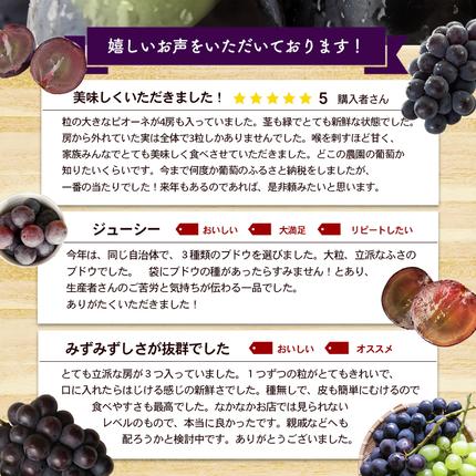 香川県東かがわ市のふるさと納税 ハウスピオーネ 大房 3～6房 2kg 化粧箱 黒い真珠 ピオーネ 葡萄 ぶどう ブドウ フルーツ 果物 くだもの 果実 旬の果物 旬のフルーツ 贈答用 ギフト プレゼント 香川 香川県 東かがわ市