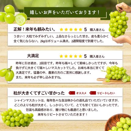 香川県東かがわ市のふるさと納税 瀬戸内のシャインマスカット 2～6房 （約2kg）  シャインマスカット マスカット 葡萄 ぶどう ブドウ フルーツ 果物 くだもの 果実 旬の果物 旬のフルーツ 香川 香川県 東かがわ市