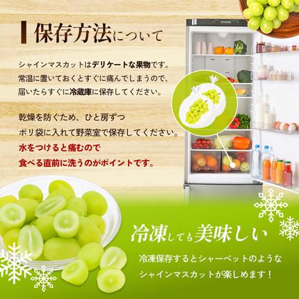 香川県東かがわ市のふるさと納税 瀬戸内のシャインマスカット 2～6房 （約2kg）  シャインマスカット マスカット 葡萄 ぶどう ブドウ フルーツ 果物 くだもの 果実 旬の果物 旬のフルーツ 香川 香川県 東かがわ市