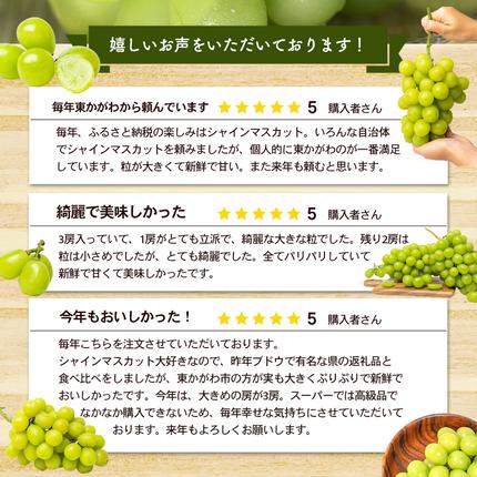 香川県東かがわ市のふるさと納税 「9月30日までの食卓応援品」  シャインマスカット  2房～5房（約2kg） 家庭用 マスカット 葡萄 ぶどう ブドウ フルーツ 果物 くだもの 果実 旬の果物 旬のフルーツ 香川 香川県 東かがわ市