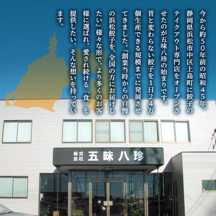 静岡県浜松市のふるさと納税 浜松餃子 84個 (14個×6) 五味八珍 国産 冷凍餃子