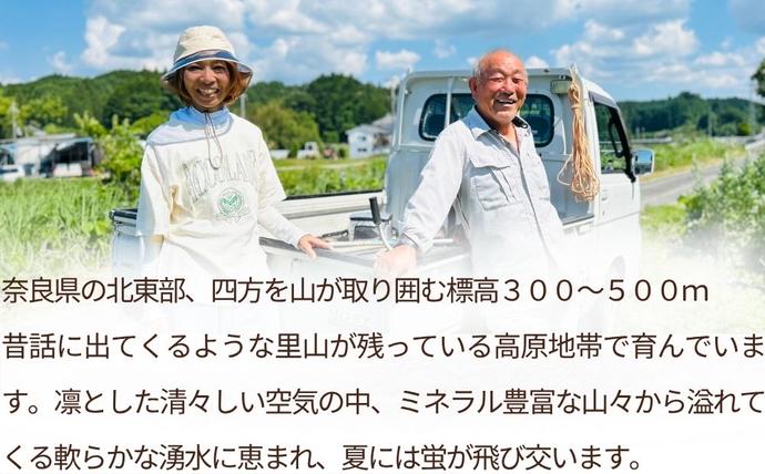 特別栽培米 ＜令和7年産 玄米 2kg＞ / ふるさと納税 栽培期間中農薬不