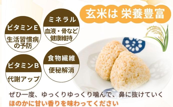 特別栽培米 ＜令和7年産 玄米 2kg＞ / ふるさと納税 栽培期間中農薬不