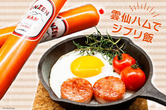 長崎県島原市のふるさと納税 FD191 雲仙ハム ソーセージ 小 300g×3本 [ 絶品 人気 ウインナー ハム 詰め合わせ おつまみ ギフト 肉 お弁当 おかず 小分け 便利 国産 豚肉 BBQ 長崎県 島原市 ]