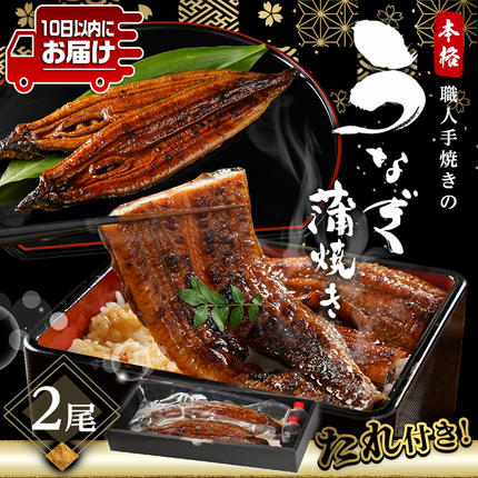 宮崎県都城市のふるさと納税 職人手焼きの本格うなぎ蒲焼き2尾≪みやこんじょ特急便≫_MJ-33-003-2-Q
