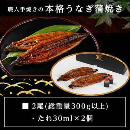宮崎県都城市のふるさと納税 職人手焼きの本格うなぎ蒲焼き2尾≪みやこんじょ特急便≫_MJ-33-003-2-Q