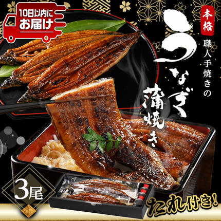 宮崎県都城市のふるさと納税 職人手焼きの本格うなぎ蒲焼き3尾≪みやこんじょ特急便≫_AC-3301-Q