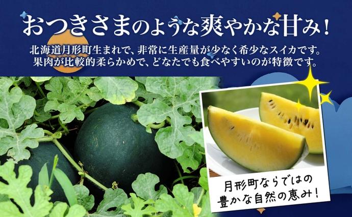 北海道 黄色 大玉 スイカ おつきさま 1玉 約7kg 2027年7月初旬より順次