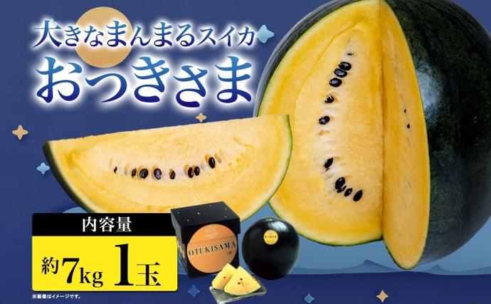 北海道 黄色 大玉 スイカ おつきさま 1玉 約7kg 2026年7月初旬より順次