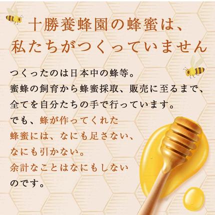 北海道のふるさと納税 【北のハイグレード2024】シナ(菩提樹)蜂蜜160g×1 F6S-471