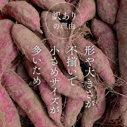 茨城県つくばみらい市のふるさと納税 【 訳あり 】 さつまいも ！ 紅はるか 5kg サツマイモ 芋 いも べにはるか 茨城 美味しい おいしい ワケアリ 訳アリ 規格外 不揃い [BK09-NT]