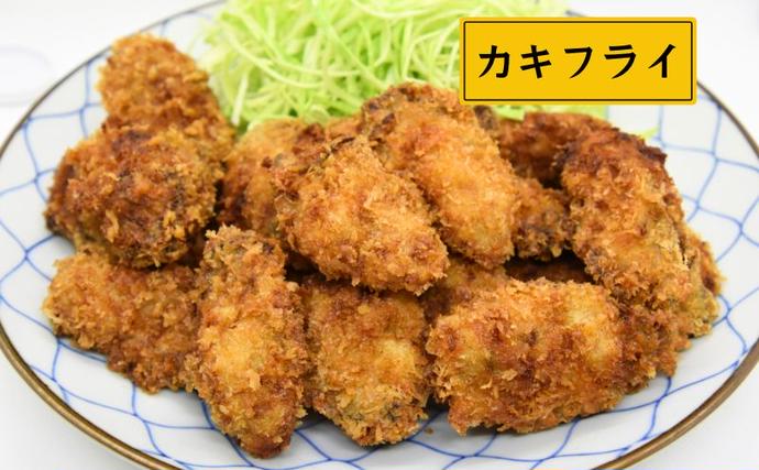 岡山県瀬戸内市のふるさと納税 牡蠣 2026年 先行予約 牡蠣むき身 500g×1パック 山銀商店 瀬戸内海虫明湾産 魚貝類 生牡蠣 かき 魚介類 カキ 加熱調理用