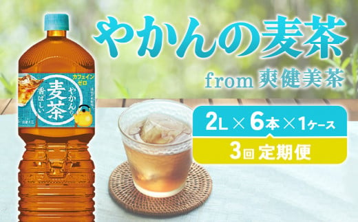 【3回定期便】やかんの麦茶 from 爽健