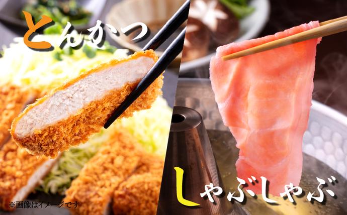 宮崎県日南市のふるさと納税 【6月配送】数量限定 豚肉 6種 盛り合わせ セット 合計4.1kg 豚 小分け 豚バラ 豚ロース 豚こま 国産 食品 人気 おかず 焼肉 しゃぶしゃぶ 豚丼 食べ比べ 料理に大活躍 使い勝手抜群 選べる配送月 ミヤチク 送料無料_CC82-25-06