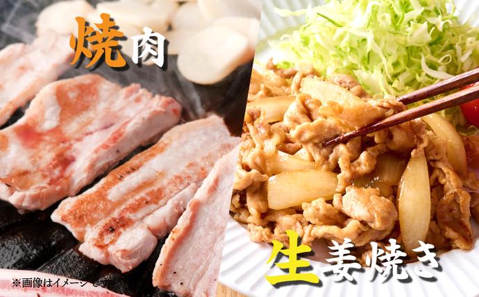 宮崎県日南市のふるさと納税 【6月配送】数量限定 豚肉 6種 盛り合わせ セット 合計4.1kg 豚 小分け 豚バラ 豚ロース 豚こま 国産 食品 人気 おかず 焼肉 しゃぶしゃぶ 豚丼 食べ比べ 料理に大活躍 使い勝手抜群 選べる配送月 ミヤチク 送料無料_CC82-25-06