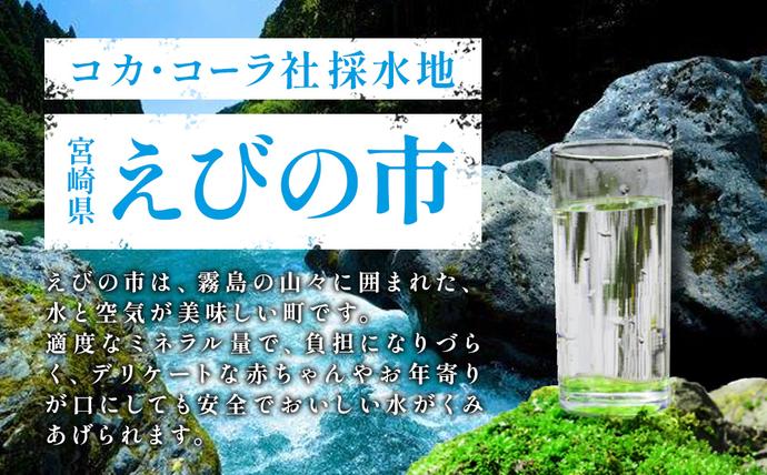 宮崎県えびの市のふるさと納税 やかんの麦茶 爽健美茶 PET 650ml 24本×2ケース 合計48本【コカコーラ】 日本茶 お茶 麦茶 ペットボトル カフェインゼロ 常温 送料無料 こども 美容 むくみ