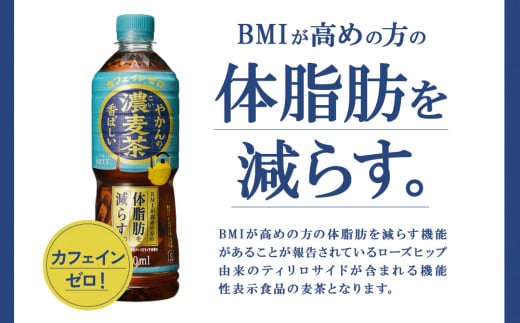 宮崎県えびの市のふるさと納税 【3回定期便】やかんの濃麦茶 from 爽健美茶 600ml PET×24本（１ケース）合計72本【コカコーラ】 日本茶 お茶 麦茶 ペットボトル カフェインゼロ 常温 送料無料 こども 美容 むくみ BMI 体脂肪